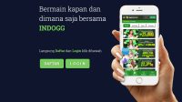 indogg, indo gg, indogg88, indogg 88 asia, indoggasia, indogg asia, indogg slot, indogg online, daftar indogg, login indogg, link alternatif indogg, freebet slot, judi slot online